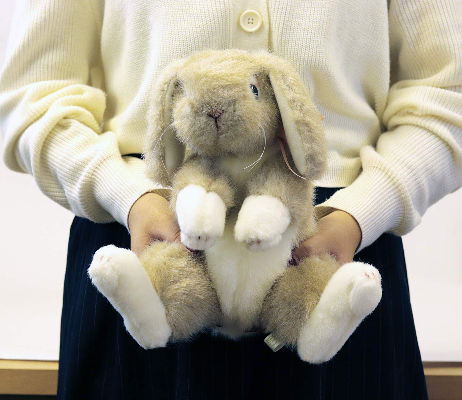 Amazon.co.jp: ぬいぐるみ ロップイヤーウサギ M ベージュ 180610